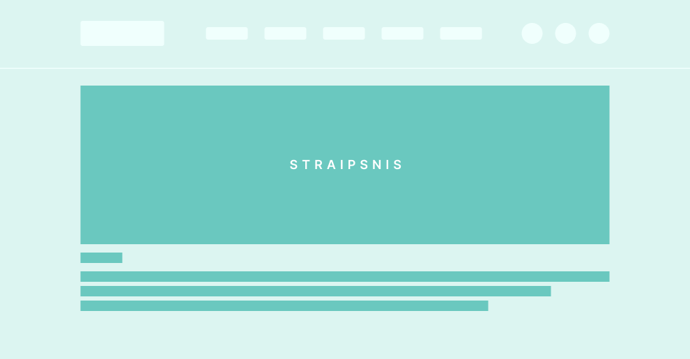 straipsnio-skydelis